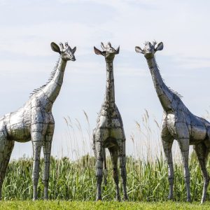 Outdoor Metal Giraffe Sculpture